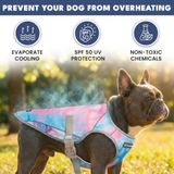 Snow cone Cooling Vest||size:S,M,L,XL,2XL,3XL,4XL