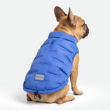 Blue Thermosonic Winter Jacket||size:L