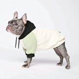 Olive Cream Dog Hoodie