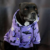 Halloween Dog Hoodie - Purple (2)