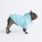 Essential Baby Blue Hoodie||size:L,XL
