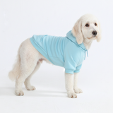 Essential Baby Blue Hoodie||size:2XL