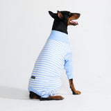 Hondenpyjama - Blauwe Strepen