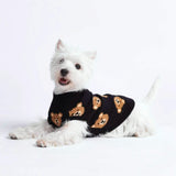 Broken Teddy Dog Sweater