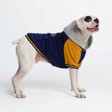 Dog Varsity Jacket - Blauw Geel