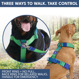 Lime Wave Harness||size:S,M,L