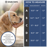 Lime Wave Martingale Collar||size:A,B,C,D,E