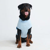 Sunblock Hondenshirt - Blauw