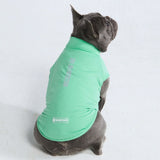 Sunblock Hondenshirt - Mint