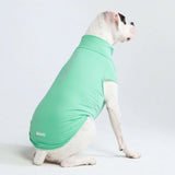 Sunblock Hondenshirt - Mint
