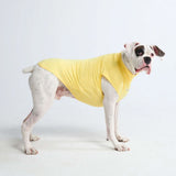 Sunblock Hondenshirt - Geel