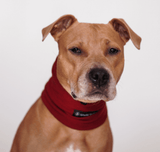 Angst kalmerende hond oorbeschermer - Rood