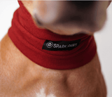 Angst kalmerende hond oorbeschermer - Rood