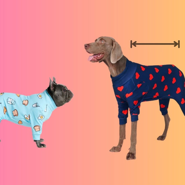 Pajamas for you and your dog online