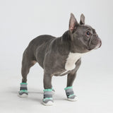 Hot Pavement Pawtector hondenschoenen - Wintertaling