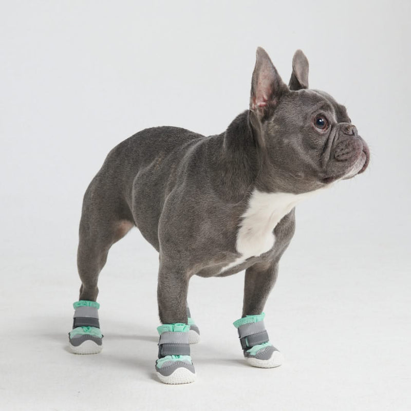 Hot Pavement Pawtector hondenschoenen - Wintertaling