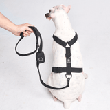 Black Harness