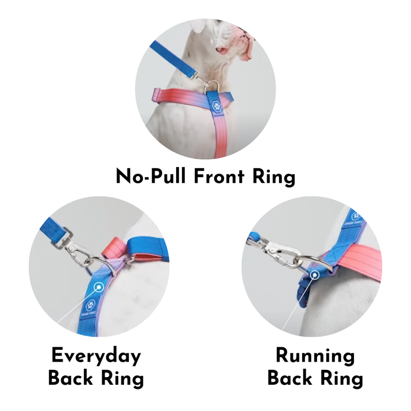 Lilac Harness