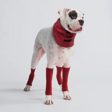 Rekbare fleece hondenbeenwarmers - Rood