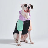 Cyberpunk hond hoodie