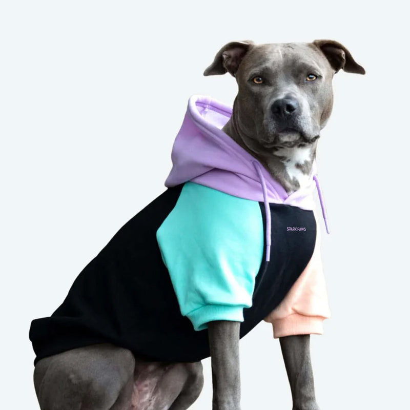 Cyberpunk hond hoodie
