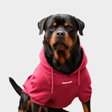 Essentiële hondenhoodie - Bourgondië