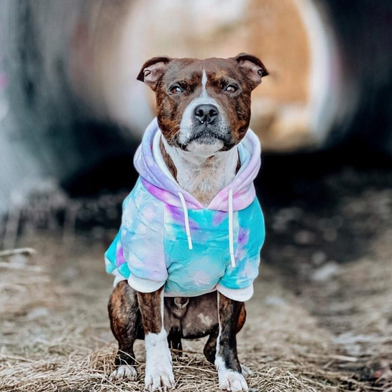Velvet 90s Retro Hoodie