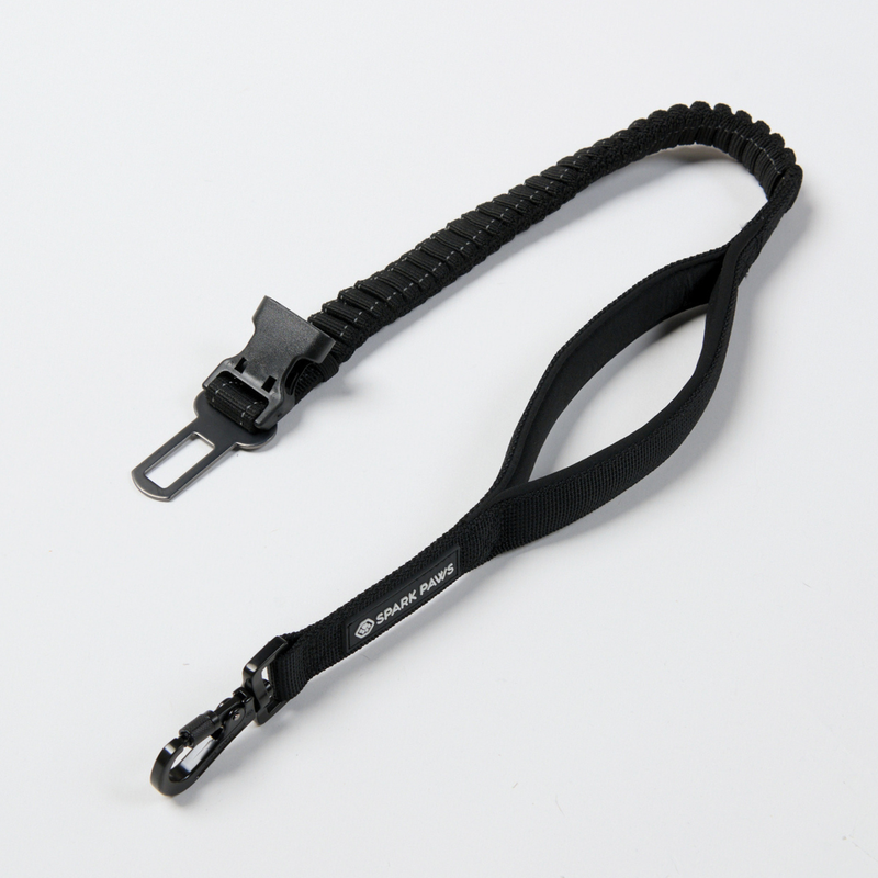 Black Neoprene Leash