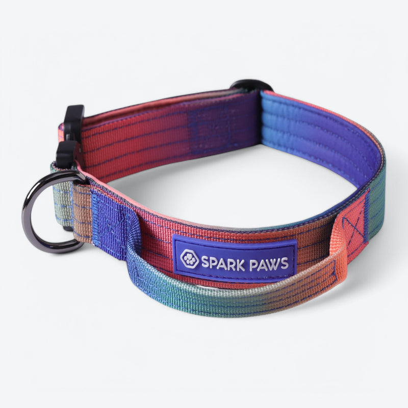 Comfort Control Collar Set - Kaleidoscope
