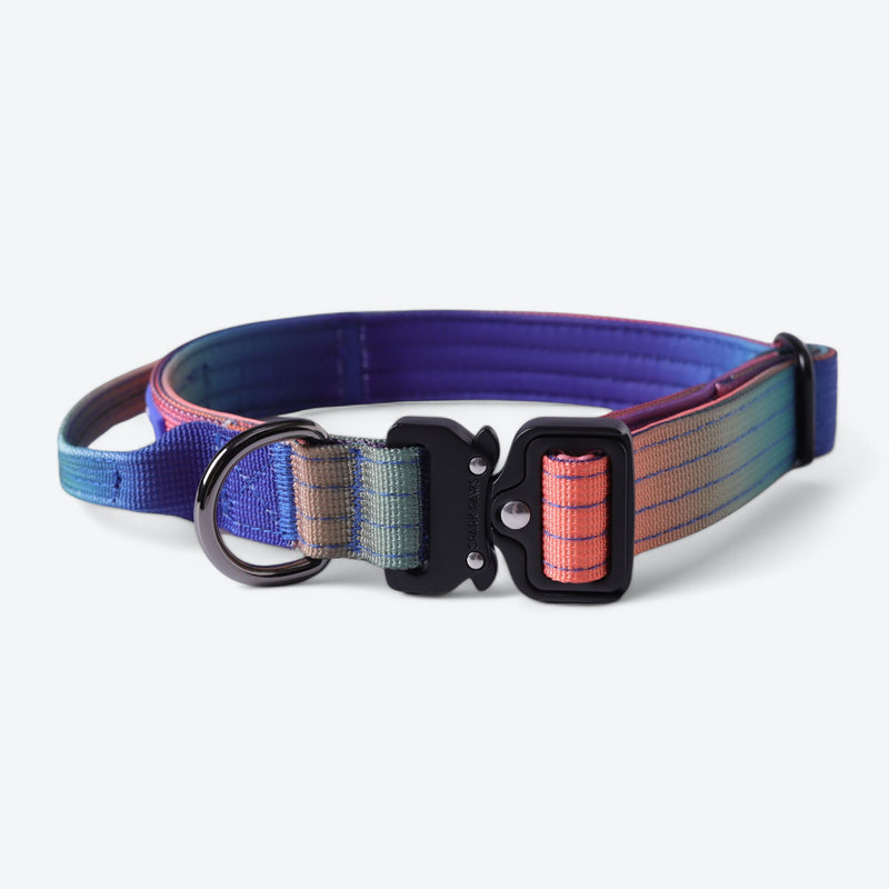 Comfort Control Collar Set - Kaleidoscope
