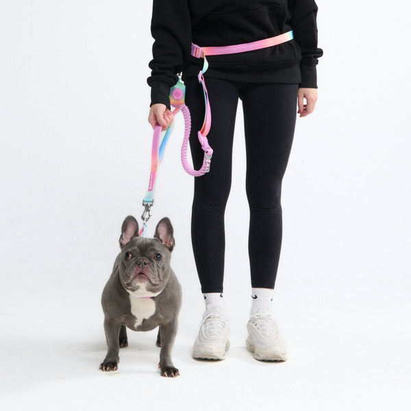 Multipurpose Seatbelt Handsfree Leash & Poop Bag Holder Set - Pastel Icing