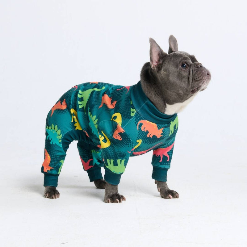 Hondenpyjama - Dinosaurussen