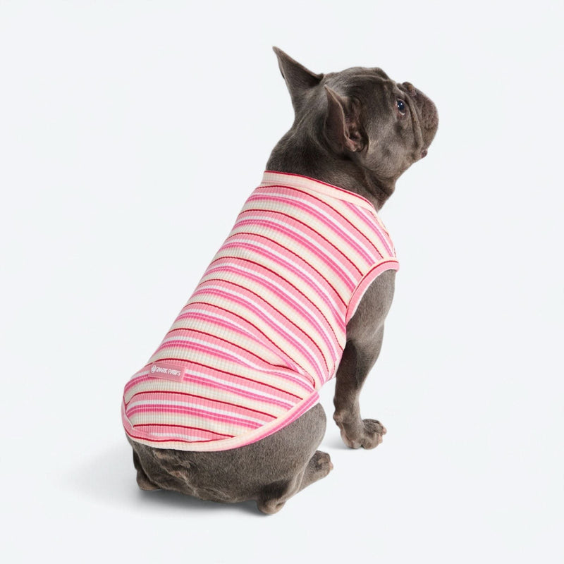 Gestreept Shirt - Roze Rood