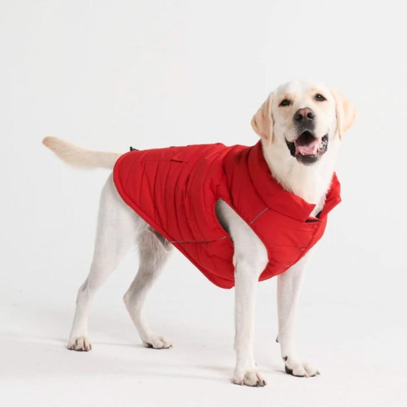 WarmShield waterbestendig jack - Rood (maat S)