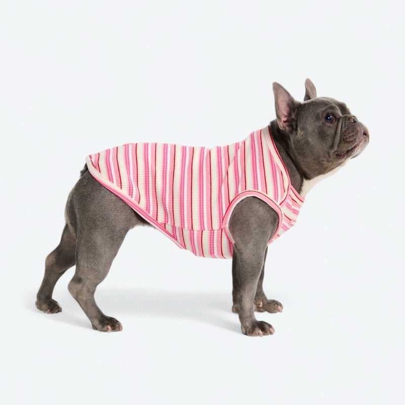 Gestreept Shirt - Roze Rood