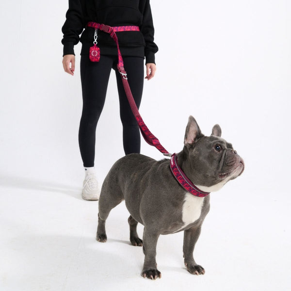 Multipurpose Seatbelt Handsfree Leash & Poop Bag Holder Set - Fuchsia Camo