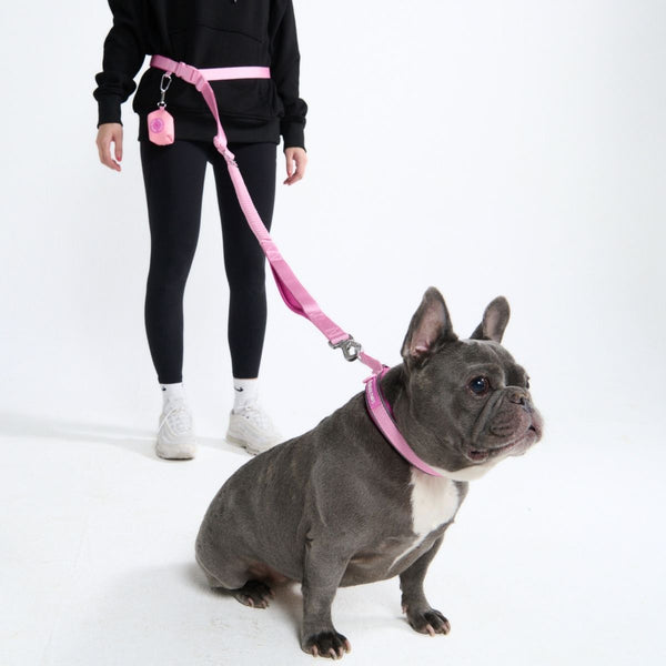 Multipurpose Seatbelt Handsfree Leash & Poop Bag Holder Set - Pink