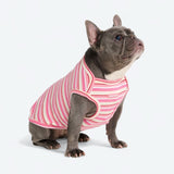 Gestreept Shirt - Roze Rood