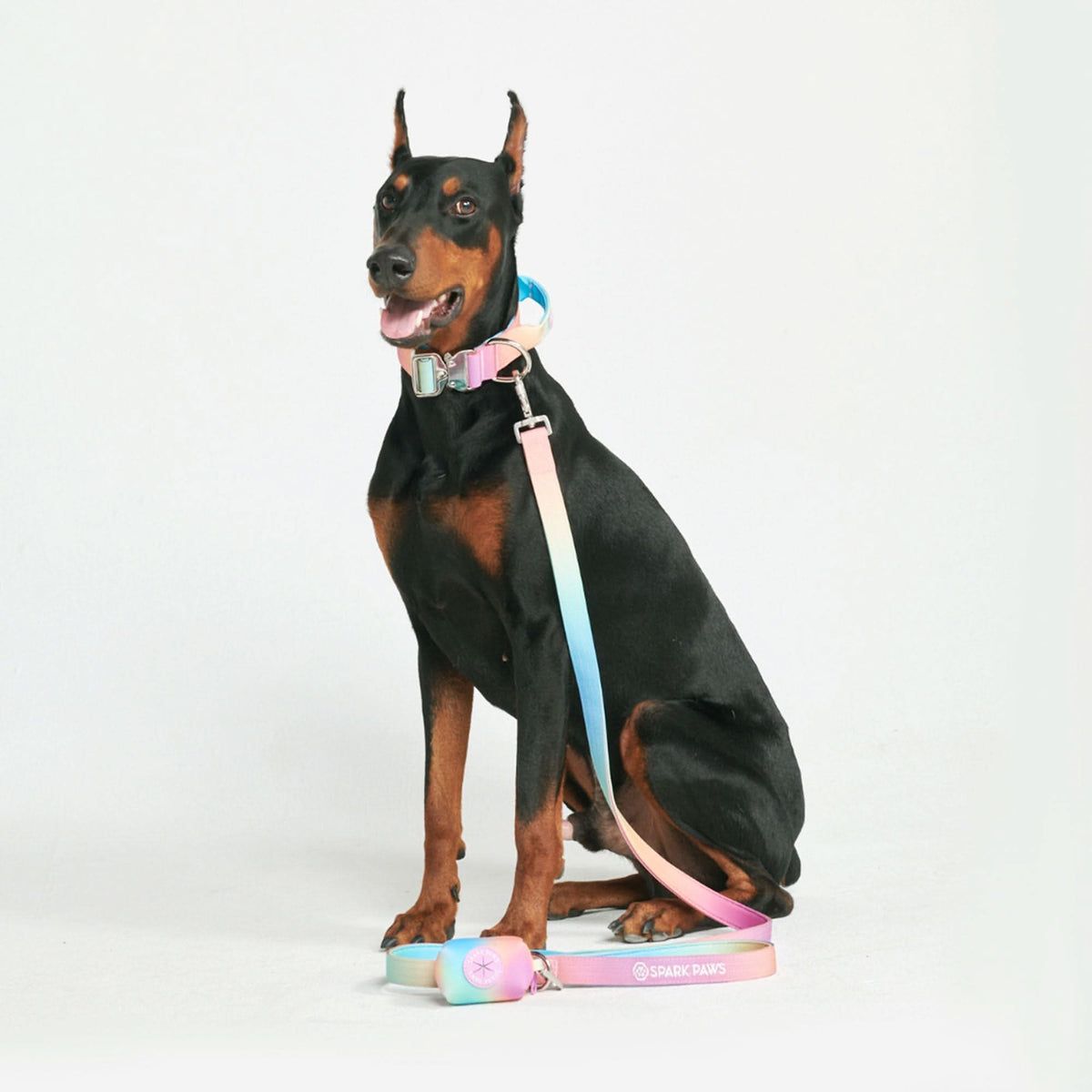 gelenke hundefutter Gelenk-Snacks Hähnchen – Mit Grünlippmuschel & Omega-3