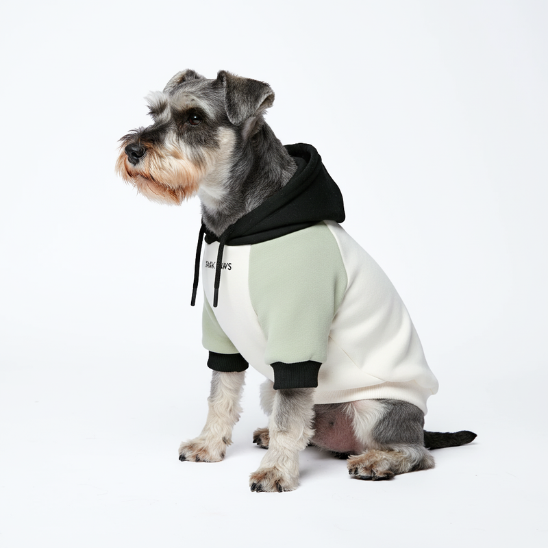 Olive Cream Dog Hoodie