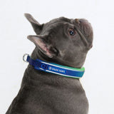 Lime Wave Martingale Collar||size:A,B