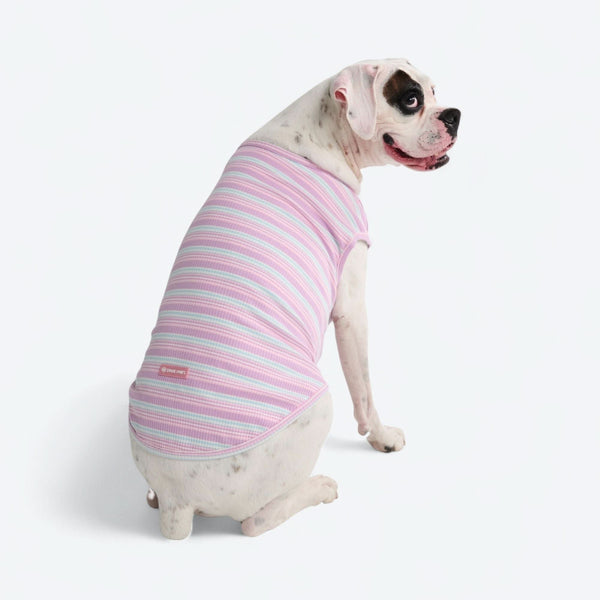 Stripe Shirt - Purple Blue