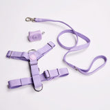 Comfort Control No-Pull Dog Harness Set - Lilac