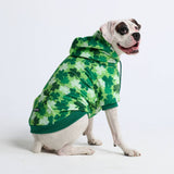 St. Patty's Hondenhoodie - Klavertjes