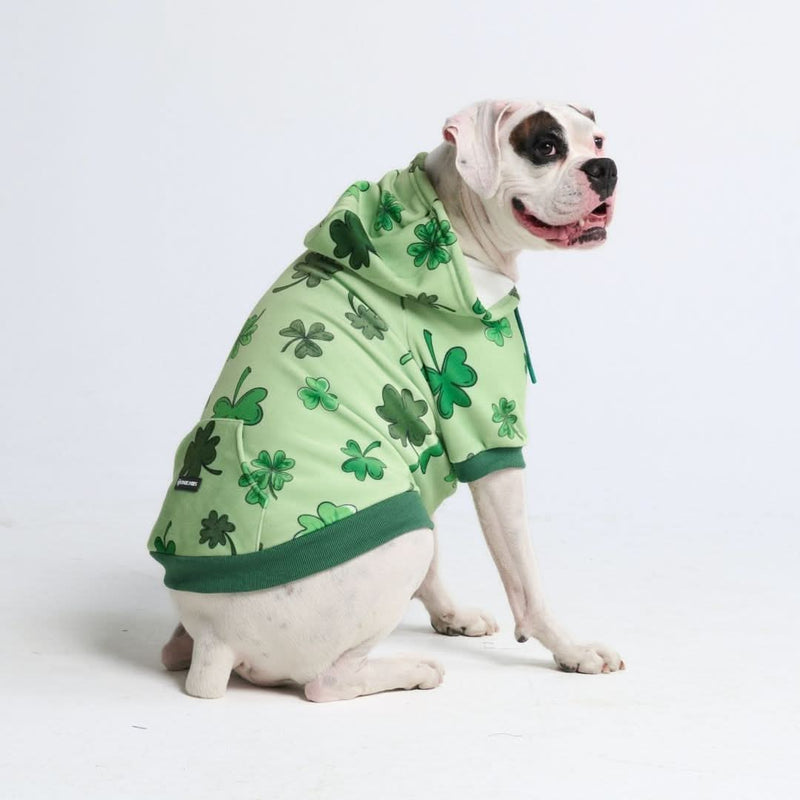 St. Patty's Hondenhoodie - Lichtgroen