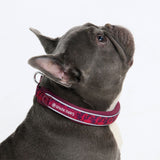 Fuchsia Camo Martingale Collar||size:A,B