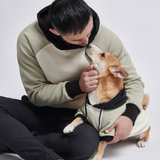 Olive Cream Dog Hoodie