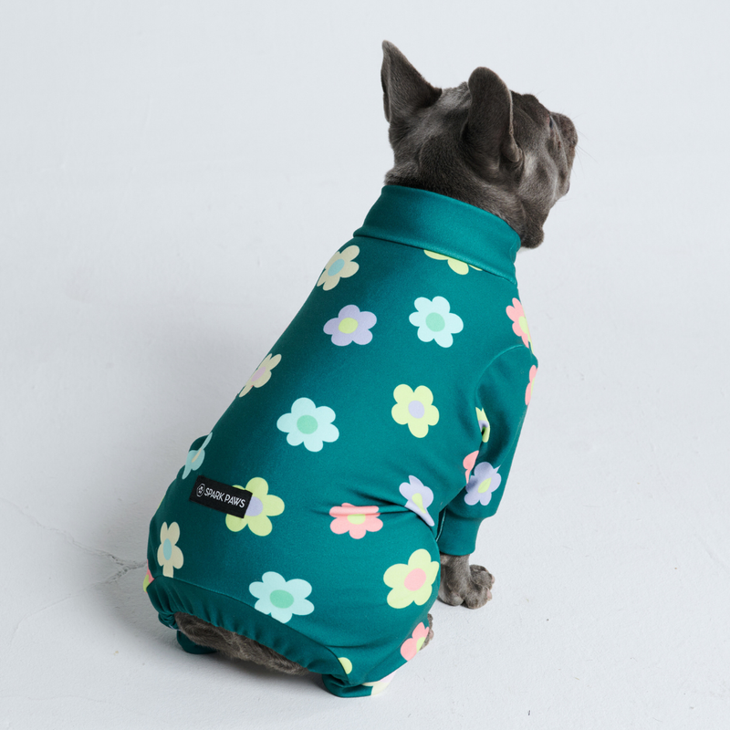 Hondenpyjama - Bloem Groen