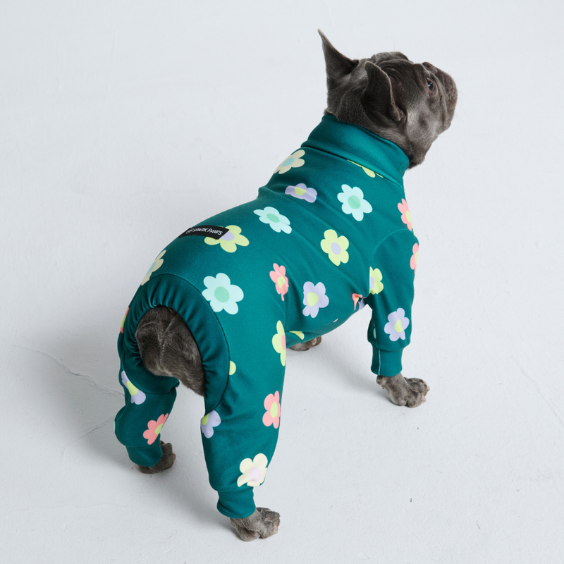 Hondenpyjama - Bloem Groen