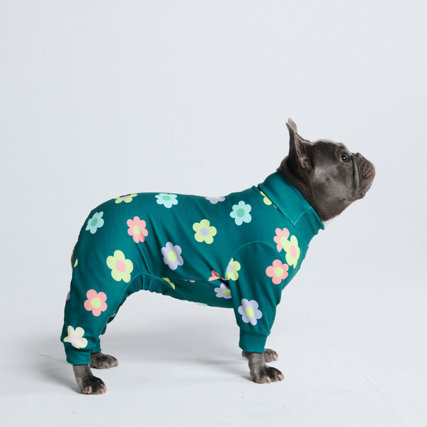 Hondenpyjama - Bloem Groen